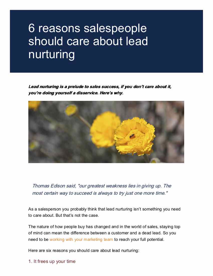 You guide to lead nurturing and sales page 3.jpg